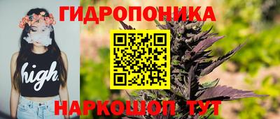 гидра Краснознаменск
