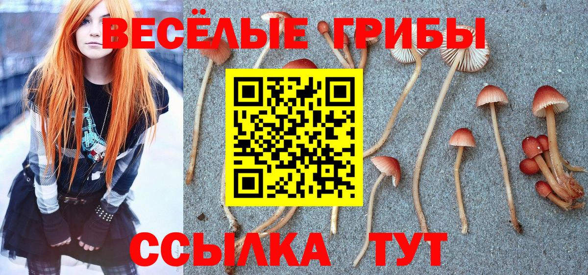 Галлюциногенные грибы MAGIC MUSHROOMS Кстово