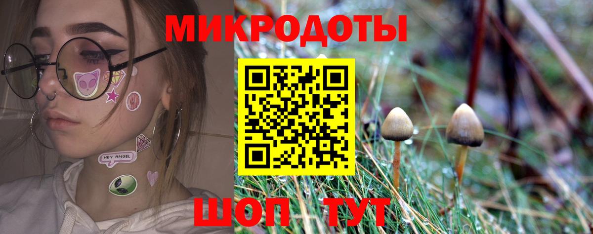 купить наркотики цена  Вход с VPN  Кстово  Псилоцибиновые грибы мицелий 